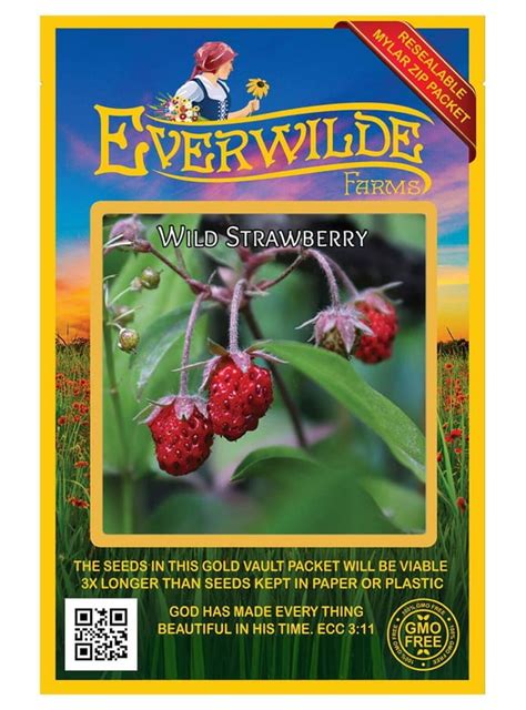 Strawberry Seeds in Seed Gardening - Walmart.com