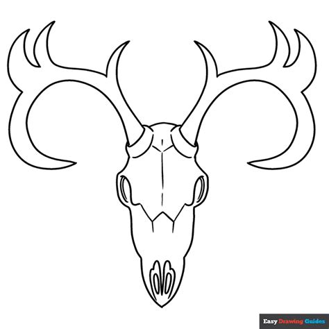 Deer Skull Coloring Page | Easy Drawing Guides