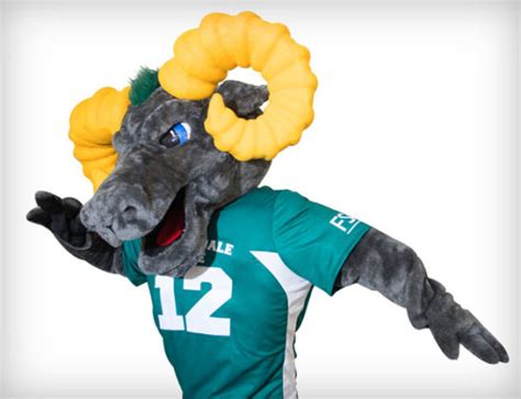 15 Mascots That Rally Long Island College Spirit