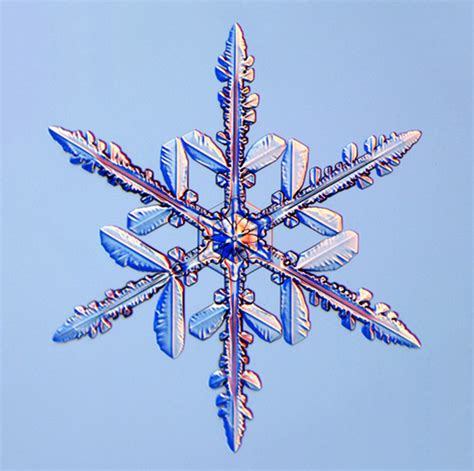 Radial Symmetry Snowflake