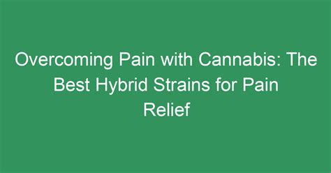 Overcoming Pain with Cannabis: The Best Hybrid Strains for Pain Relief