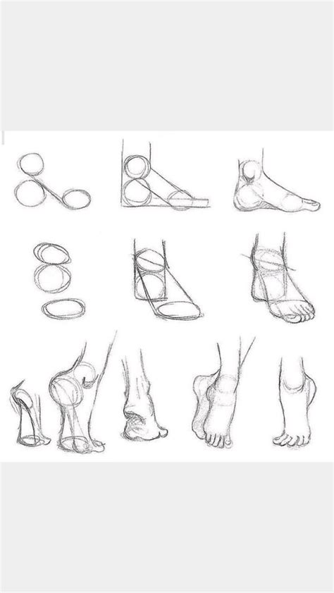 a drawing of feet and legs with different shapes, sizes and foot types on them