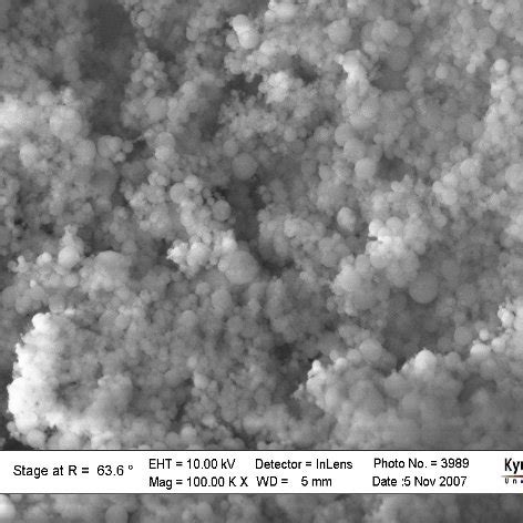 FE-SEM image of Al2O3 nanoparticles. | Download Scientific Diagram