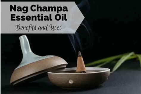 Nag Champa Essential Oil Benefits and Uses - For Your Massage Needs