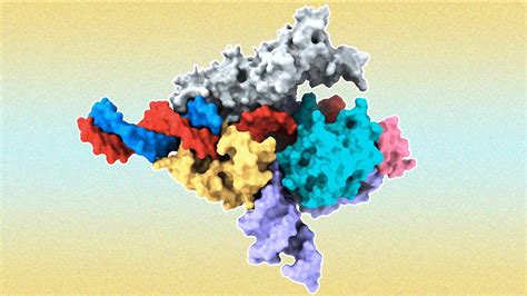 Gene editing process discovered in eukaryotes – The Insight Post