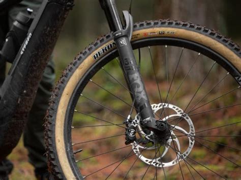 MTB tyres | From Cross Country to Enduro - Mantel