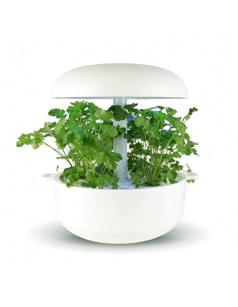 Capsule Prezzemolo PLANTUI smart garden - vendita on line