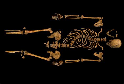 Richard III dig: DNA confirms bones beneath car park belong to king ...