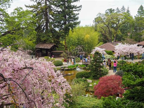 Hakone Gardens is located at 21000 Big Basin Way, Saratoga, California.