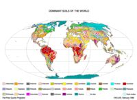 Base Referencial Mundial | Portal de Suelos de la FAO | Organización de las Naciones Unidas para ...