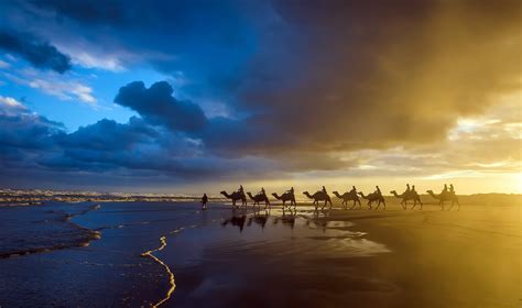 Download Cloud Sand Beach Camel Photography Caravan HD Wallpaper