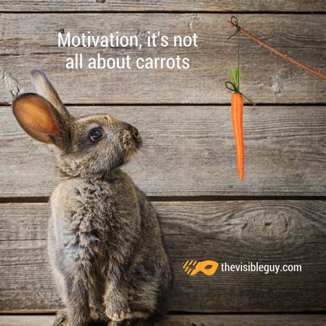 MOTIVATION – I JUST DON’T LIKE CARROTS.