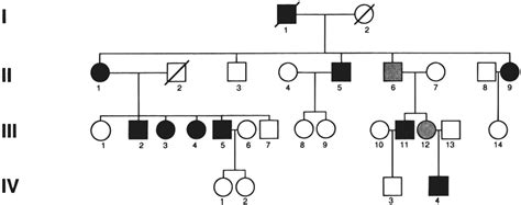 Pedigree tree of an adPEO family. Black symbols indicate clinically ...