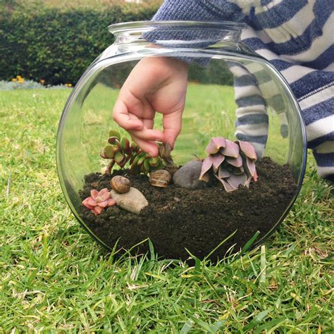 How to Make a Snail Terrarium