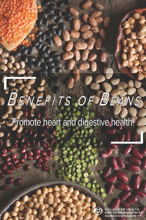 What are the benefits of beans? - College of Health and Human Sciences