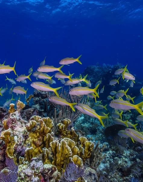 Biscayne National Park | National Park Foundation