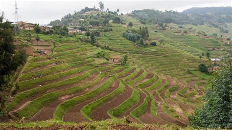 Climate-smart productive landscapes increase incomes and combat climate ...