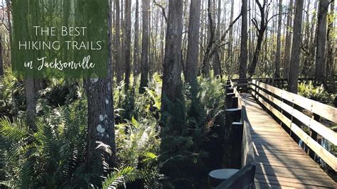 The Best Hiking Trails in Jacksonville - Jacksonville Beach Moms