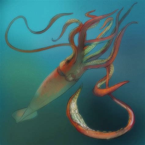 Giant squid portray on Behance