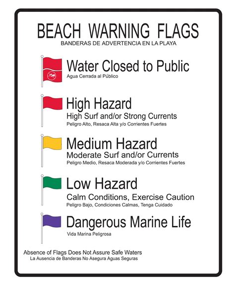 Beach Safety | Dania Beach, Florida