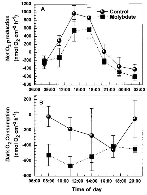 Representative experiment (July 10, 1997) demonstrating (A) the effect ...