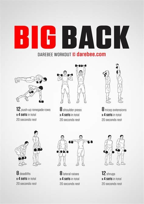 Back Workout Chart