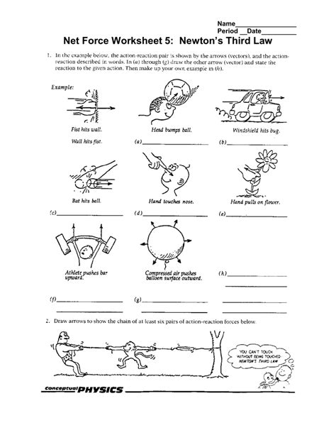 Net Force Particle Model Worksheet 5 Newton S Second Law And – Free Worksheets Samples