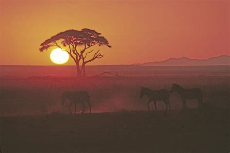 African Sunrise Photograph by Michele Burgess