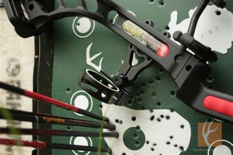 New Bowhunters, Start Now - get the jump on fall this spring. Pse ...