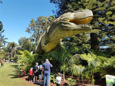 Perth Zoo, Perth: How To Reach, Best Time & Tips