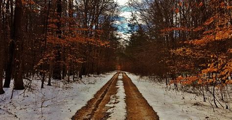 Winter Forest Scenery Along Telegraph Road | This is a pictu… | Flickr