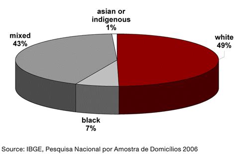 Race & Ethnicity - Brazil