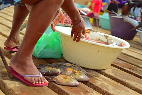 Cape verde women cleaning fish | Roan Retera | Flickr