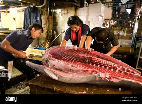 Men cutting a tuna fish at Tsukiji fish market Tokyo, Japan Stock Photo - Alamy