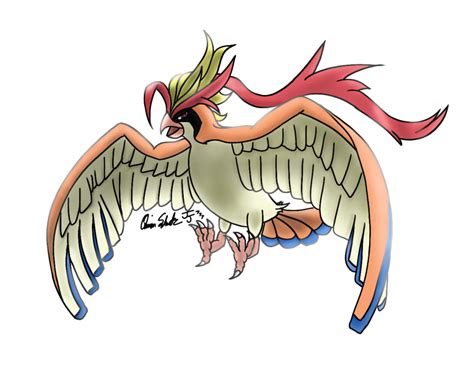 Mega Pidgeot — Weasyl