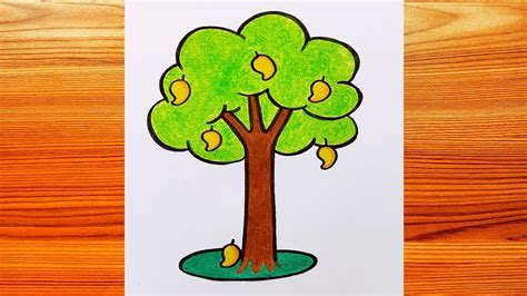 Mango Tree Drawing For Kids