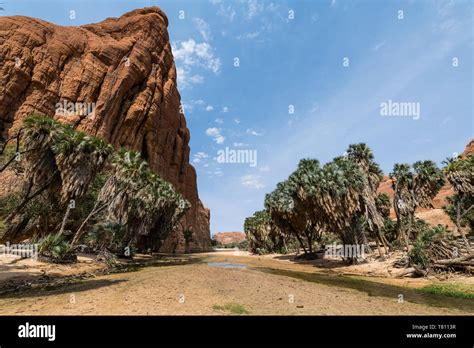 Waterhole, Ennedi Plateau, UNESCO World Heritage Site, Ennedi region ...