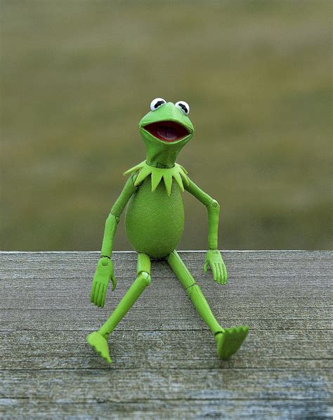 Kermit The Frog