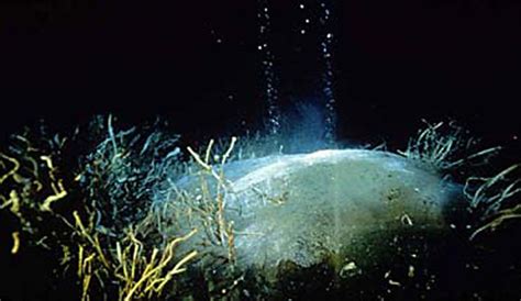 INSPIRE: Chile Margin 2010: Background: Methane: NOAA Office of Ocean Exploration and Research