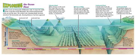 Ocean Landforms Diagram | Quizlet