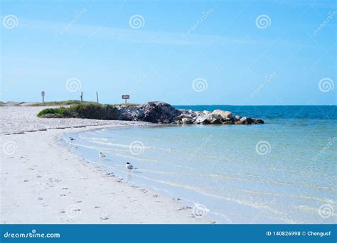 Florida palm harbor beach stock photo. Image of nature - 140826998