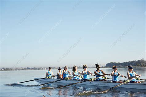 Female rowers rowing scull - Stock Image - F021/6481 - Science Photo Library