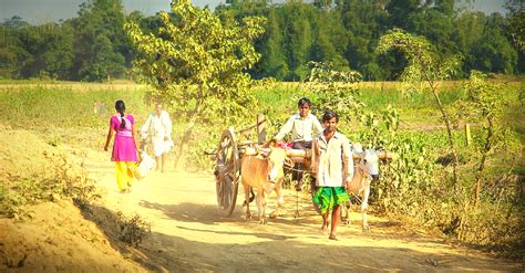 How Haryana Villagers Collected Rs. 1.75 Lakh to Elect a Sarpanch