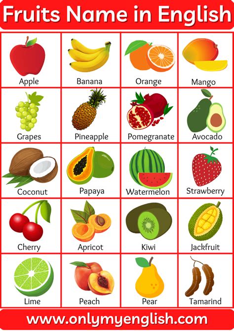 50 Fruits Name in English with Pictures » Onlymyenglish.com