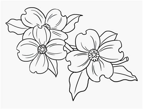 Dogwood Flower Clip Art