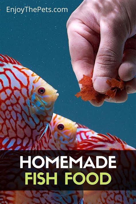 Homemade Fish Food - A Complete DIY Fish Food Guide! - Enjoy The Pets