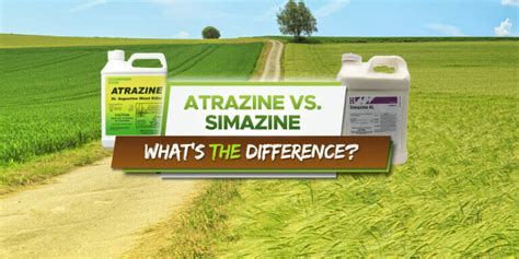 Atrazine Vs. Simazine: What's The Difference? - Grow Your Yard