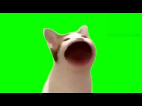 Pop Cat Green Screen Template