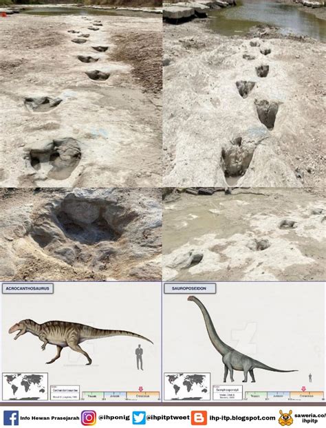 - Jejak Kaki Dinosaurus di Texas... - Info hewan prasejarah