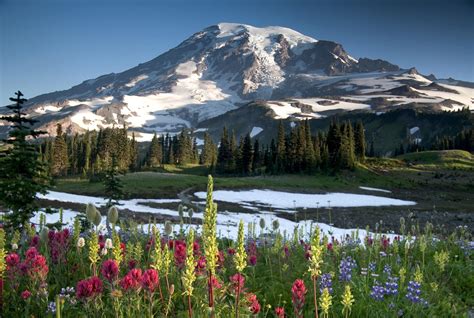 Mount Rainier National Park | Find Your Park